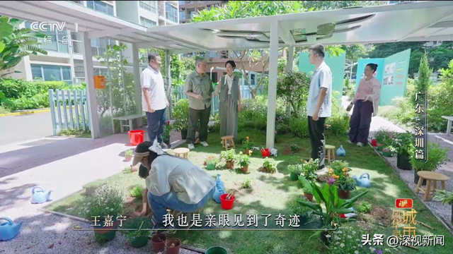 央视《城市风华录》走进深圳，解锁深圳N种“奇迹”的打开方式