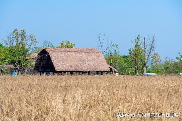 良渚古城一日游攻略｜穿越 5000 年文明，高效打卡世界遗产