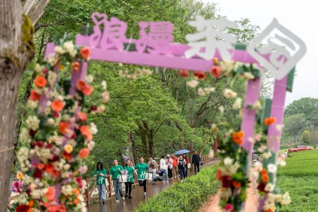 逛不停的茶博会|我们都超期待的茶博会逛展攻略，它来了！