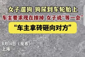 男子发飙要求擦掉轮胎上的狗尿，遛狗女子不配合拍视频没想到翻车图片