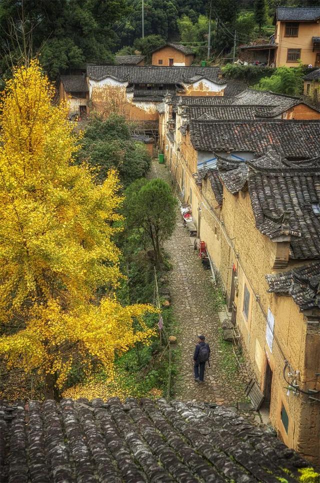 接下来2个月，这16个地方的秋色迎来“封神”之作，挑一个出发！