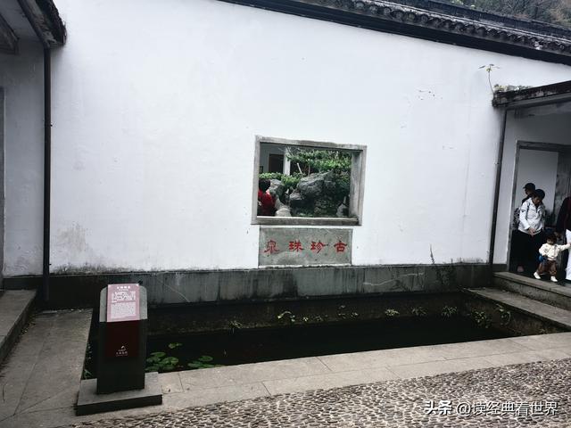 杭州植物园的菊花展——一场关于菊花的饕餮盛宴（一）