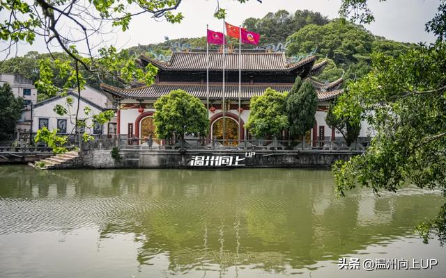 温州这座出土了众多国宝的“宝藏古镇”，能否成为下一个梧田老街