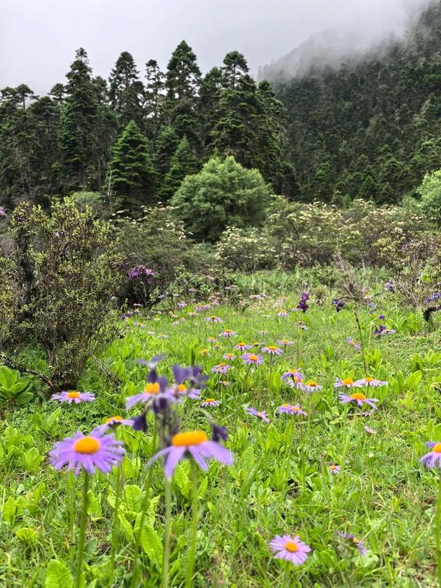 翻越“浪浪山”后，在西藏发现了地图上未标注的……