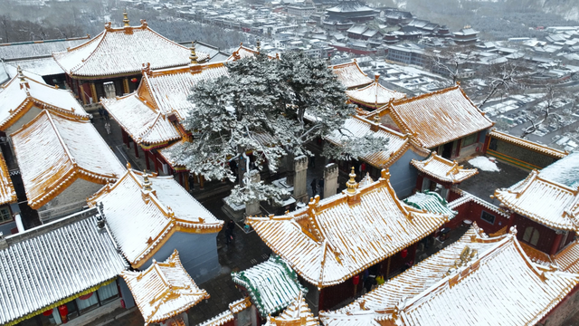 寻美五台山 | 春雪初霁 温柔赴春