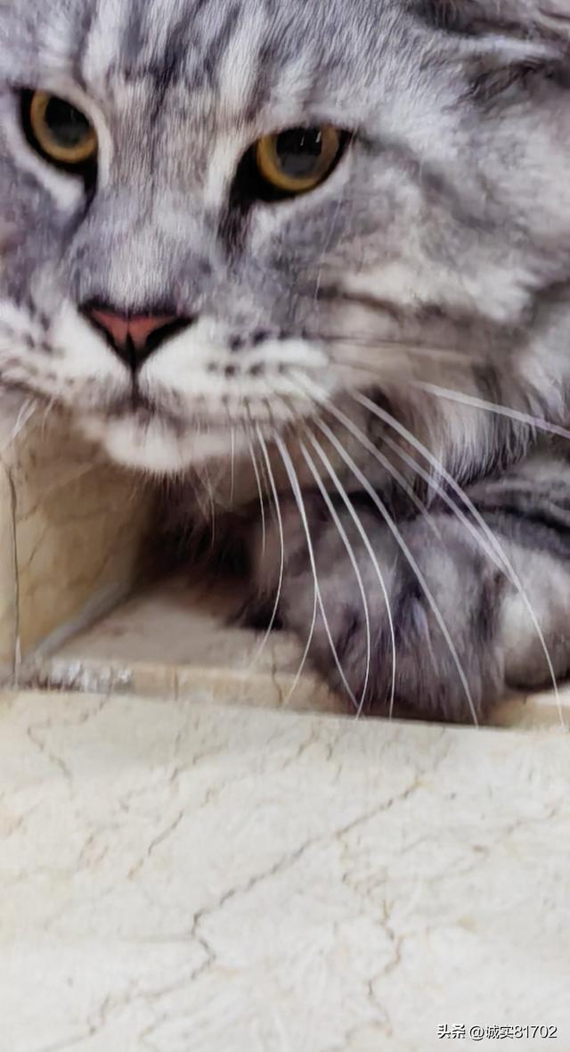 真的无语，挑拨离间的人真可恶，亲戚的两个儿媳妇，竟然反目成仇