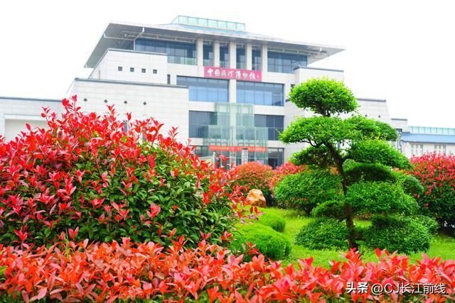 河南淮滨：淅淅沥沥秋雨染红博物馆