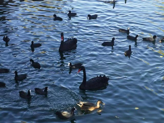 颐和园秋色印记