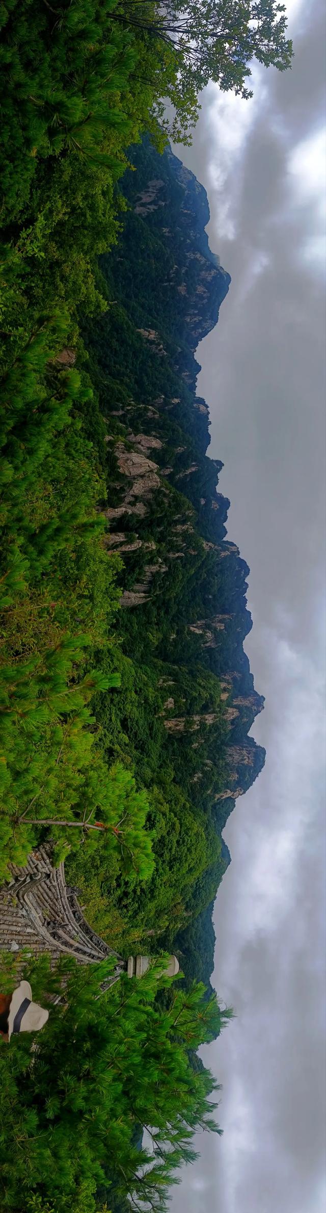 试登神禾望秦岭