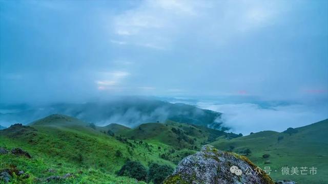 雨林深呼吸：探寻芒市雨季的“绿野仙踪”