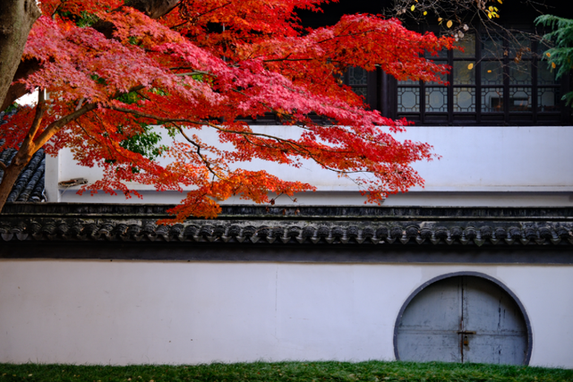 超出片！江阴这些地方“红了”！