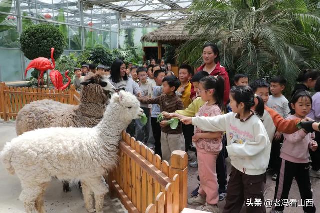 十一小假期，赴约长治上党振兴小镇秋游季，解锁N种新玩法！