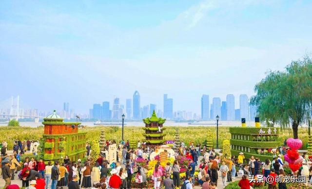 武汉菊花展60万盆花海，游客爆满，这场秋日浪漫让我心动不已