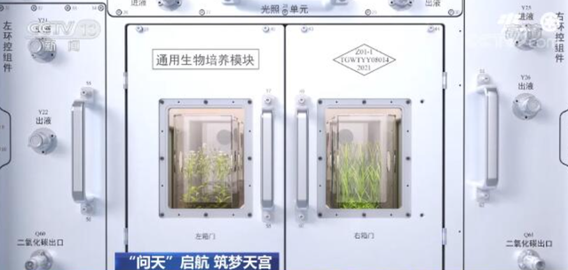 神舟二十一号升空！空间科学实验引人关注