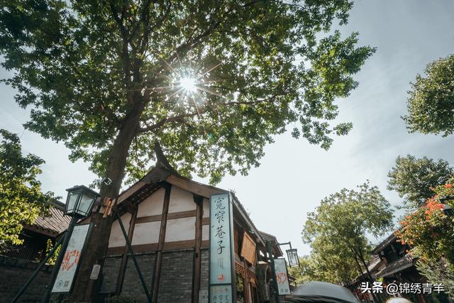 全国百强！青羊区入选2025中国市辖区旅游综合竞争力百强区