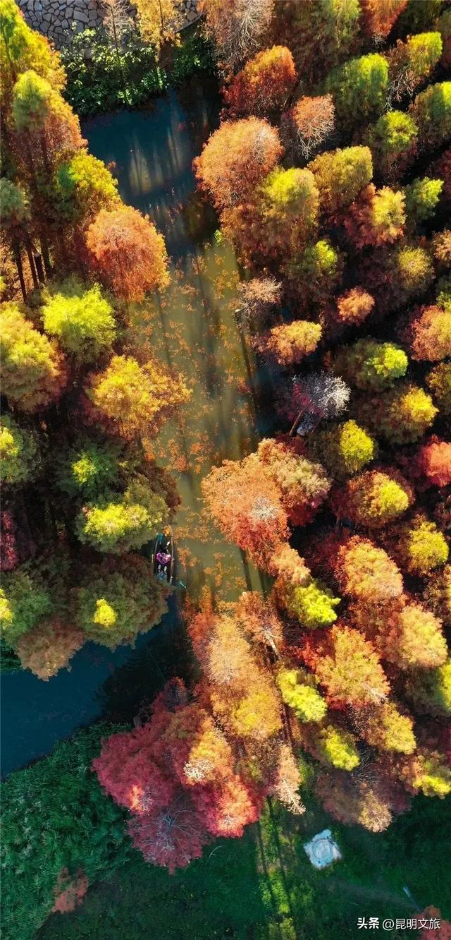 “红”爆！是谁还没有Get昆明的冬天？你知道12月的滇池有多绝？周末冲~
