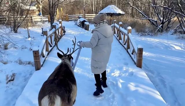 惊！呼伦贝尔这里下雪了！