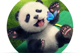 🔥最近爆火的圆形头像！图片