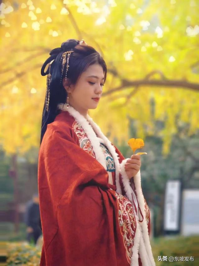 东坡银杏已“上分” ！快来拍