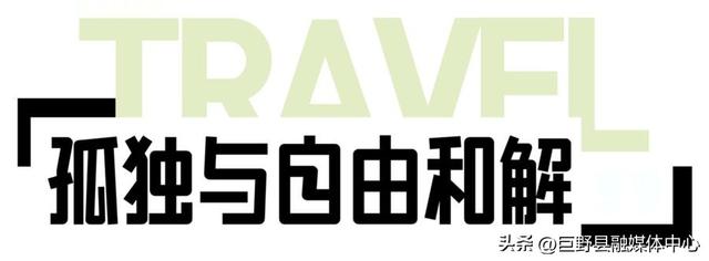 绝美出片打卡地！一棵全泰安最孤独的树，就在这里……