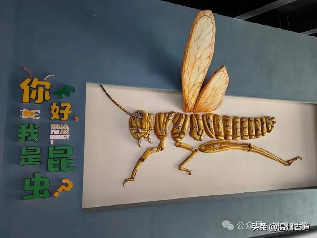 温州这个以畲族始祖命名的4A级景区，秘藏着一座“生物王国”！