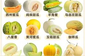 常见甜瓜合集，各种品种各种瓜，你喜欢吃那个?图片