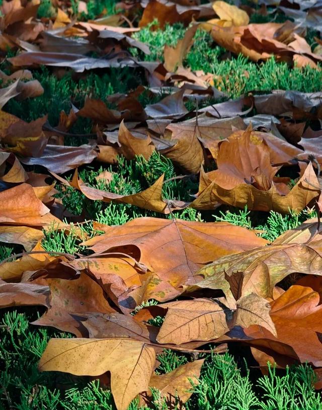 岁月始冬	，一路向东	。