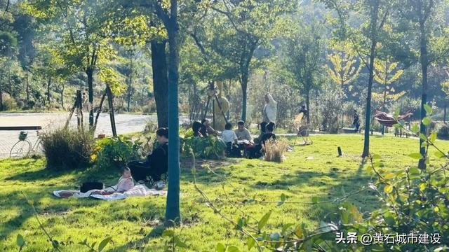 秋日遛娃天花板!黄石这里的百日菊花海美翻了