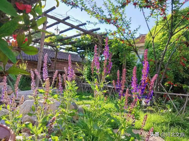 河北保定：住进太行山的诗意里