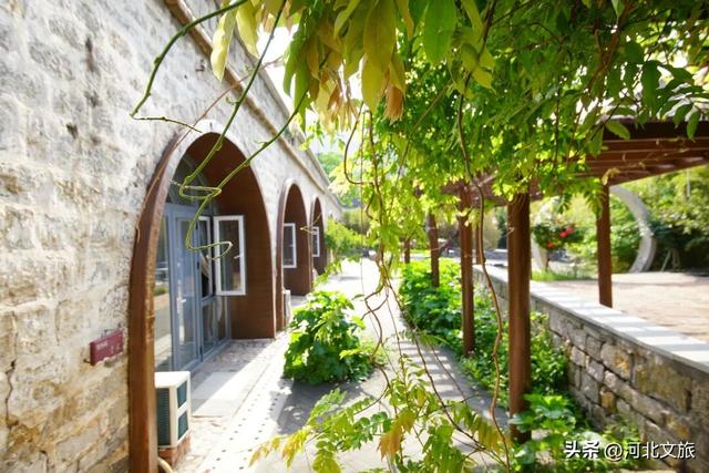 窑洞、美食、老时光,河北这个古村落,每一处都让人沉醉字