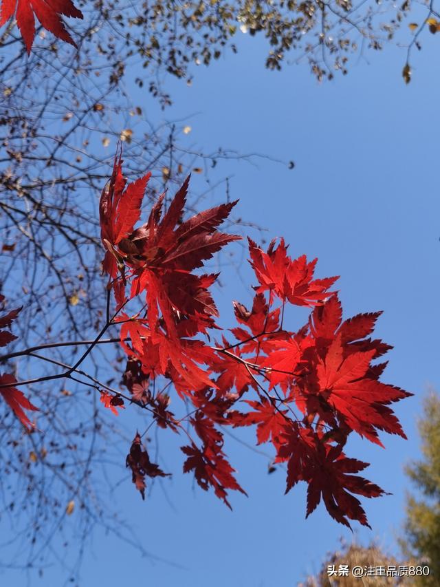 据我实际体验，冬天不宜自驾游