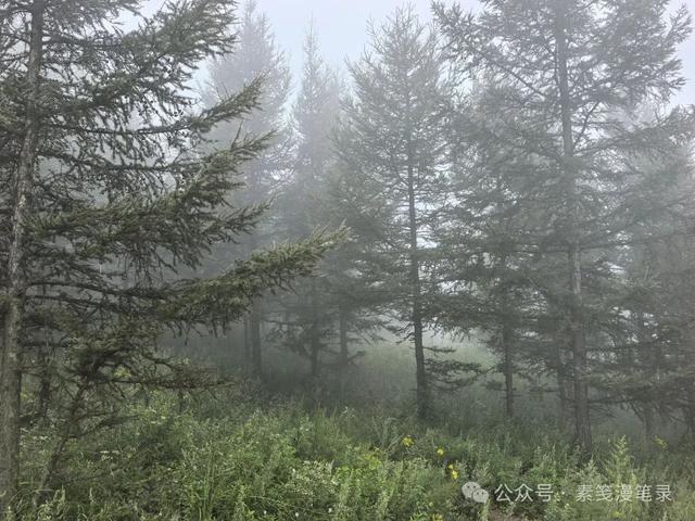 和顺纳凉
