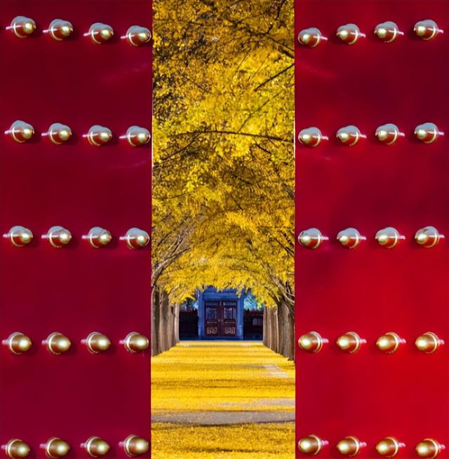 北京秋韵看地坛，网红打卡外有深意，老园子里的时光密码