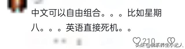笑不活了！中文堪称无敌“语言压缩包”，网友：这就是语言的魅力