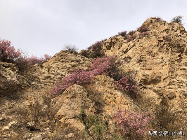 包头市土默特右旗部分文物保护单位考察笔记（上）