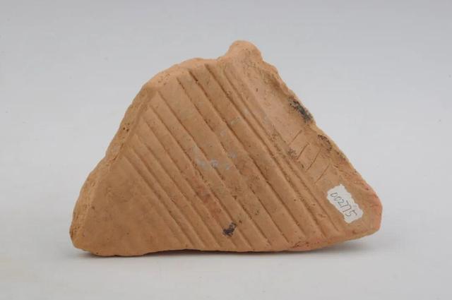 游在鹰潭｜一日暴走指南！3000年古窑+城市绿肺+潮流夜市，承包你的古今快乐!