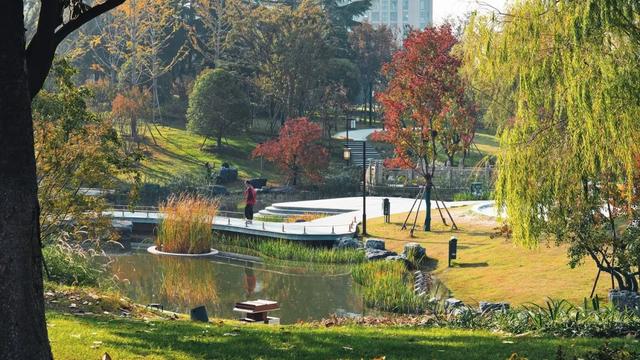 园冶杯参赛作品丨泰州市凤城河景区东南城河区域提升
