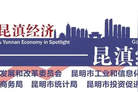 最高1000万元，2025年云南工信领域专项资金申报启动图片