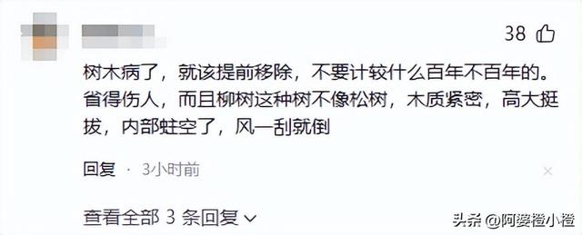 突发！武侯祠百年古柳轰然倒伏，两名游客被砸送医，现场细节曝光