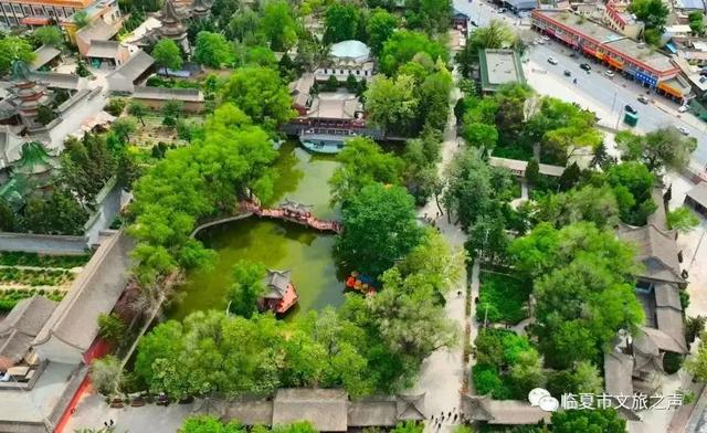 在临夏，把夏天过成诗——公园、夜景与音乐会的清凉邀约