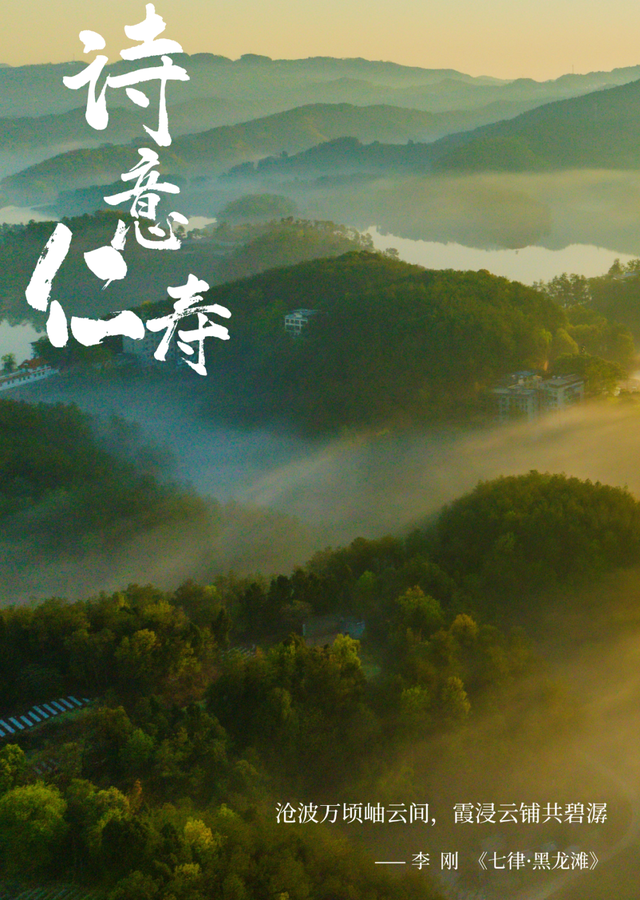 除了“YYDS”，我们还可以这样夸仁寿