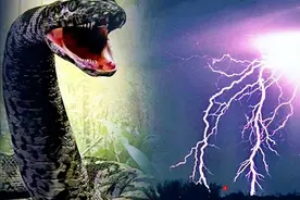 安徽出现“巨蟒渡劫”，多人亲眼目睹百米长蛇空中腾飞，是幻象吗图片