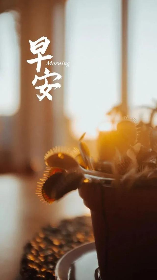 早安正能量简短励志句子，热爱生活，也会被生活治愈。早安！