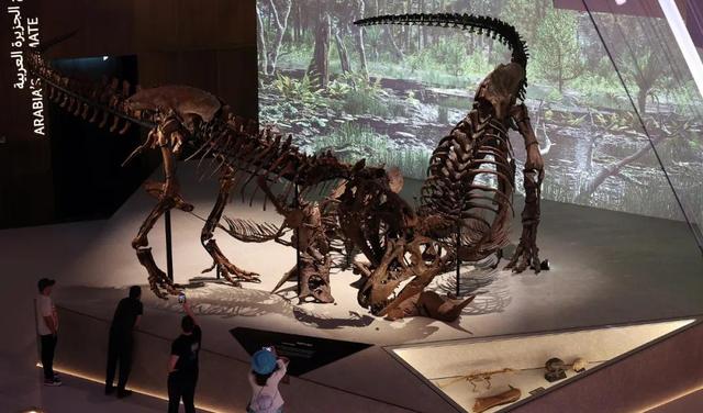 被刘亦菲带火的阿布扎比：不止是大片取景地，更藏着暴富密码