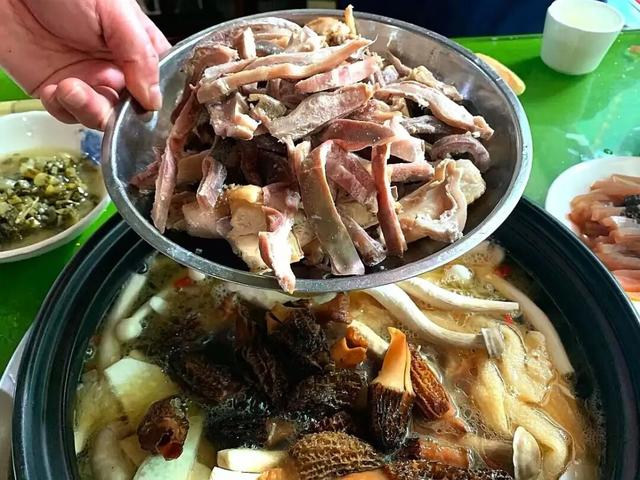 正式通车！全线免费！新挖赏秋天花板小城，绝美彩林不输九寨！地道美食50元吃爽！