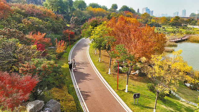 被渭南“暖”到了……