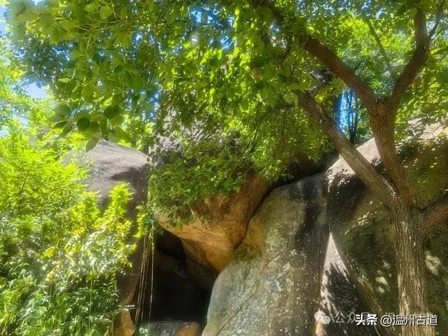 温州这处以奇岩异石著称的免费景区值得你来探秘