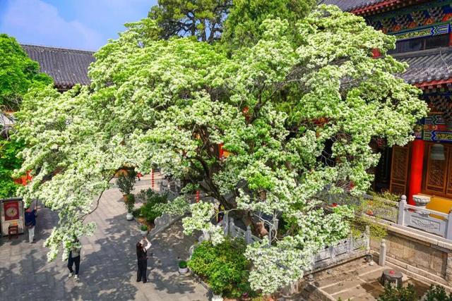 连云港这里三上央视！