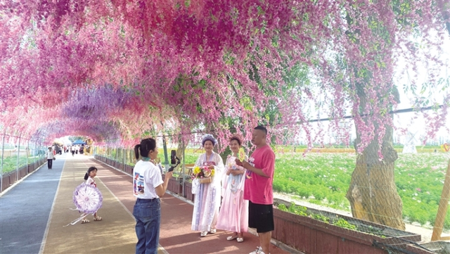 网络达人齐聚瓜州 共赏福禄花田魅力