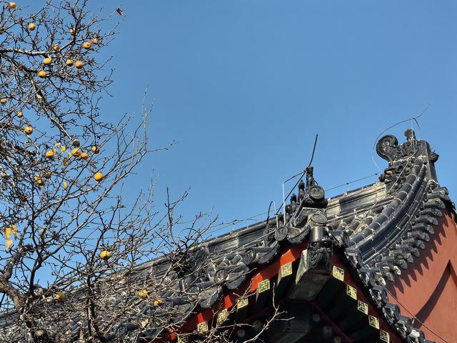 北京智化寺，小巷中的禅修之所